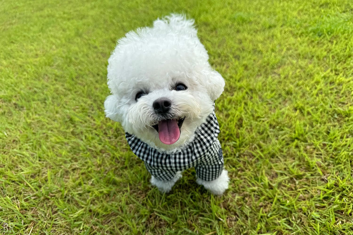 8종류의 돔형 텐트